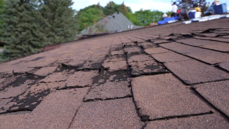 Best Roof Replacement  in Sullivan, IN